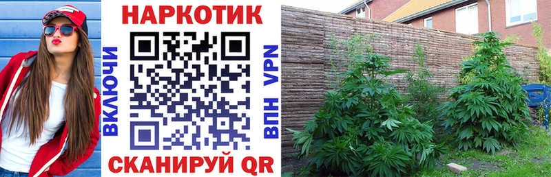 Наркотические вещества Закаменск АМФЕТАМИН  A PVP  гидра ссылка  Бошки Шишки  Меф мяу мяу 