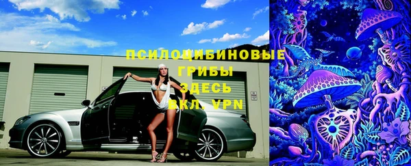 соль курить ск Алзамай