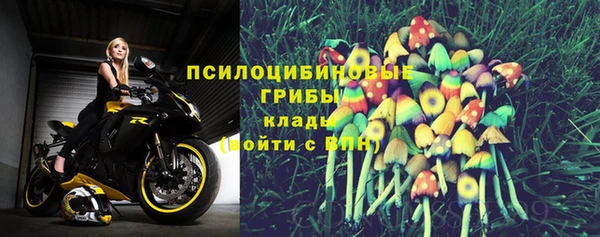 соль курить ск Алзамай