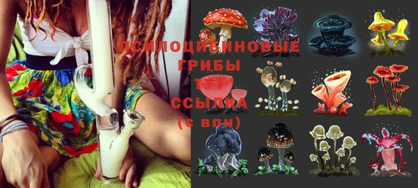 винт Алексин