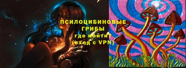 соль курить ск Алзамай