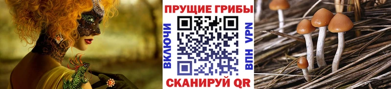 Псилоцибиновые грибы ЛСД  купить   Закаменск 