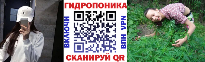 mega ссылка  сайты даркнета формула  Каннабис SATIVA & INDICA  Закаменск 